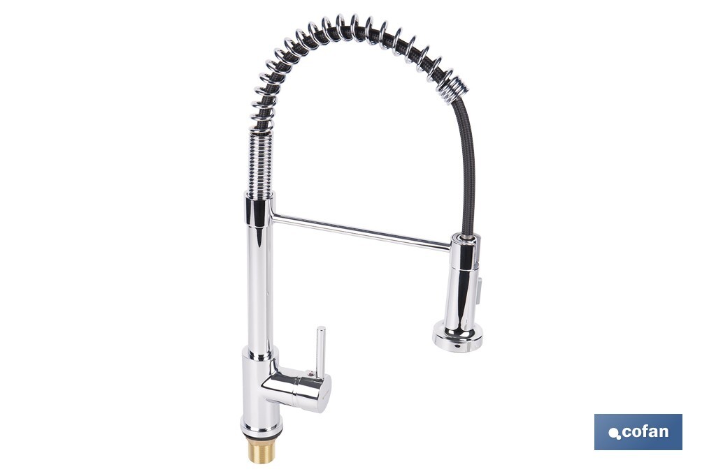 Grifo de cocina monomando con rociador