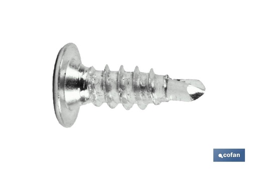 [02084214I] Tornillo autotaladrante cabeza extraplana Phillips INOX