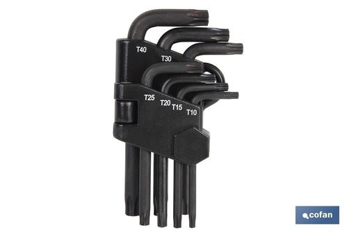 [09508537] Juego de llaves Torx