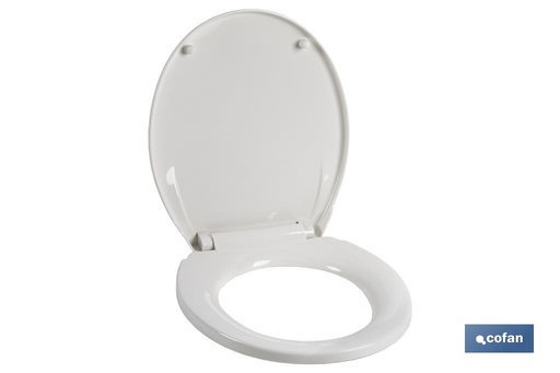 [43001028] Tapa WC